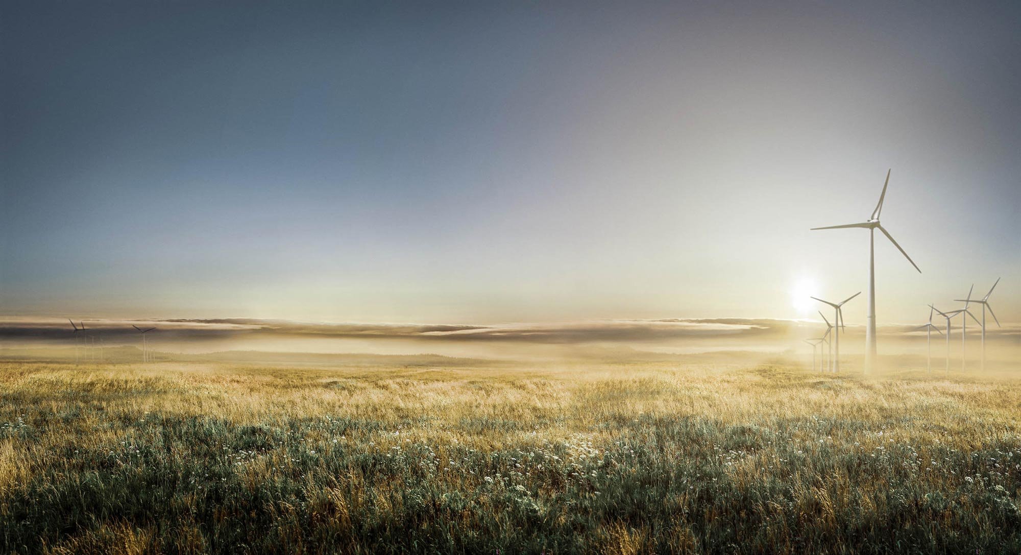 Renewable energy wind turbines on a field in sunset